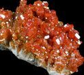 Red Vanadinite Crystal Cluster - Morocco #36980-2